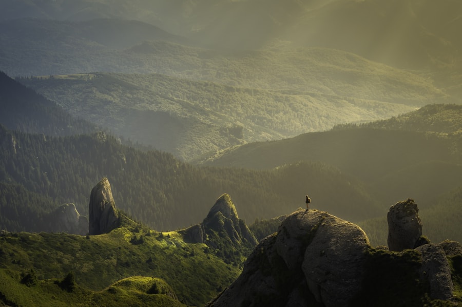 Golden Horizon