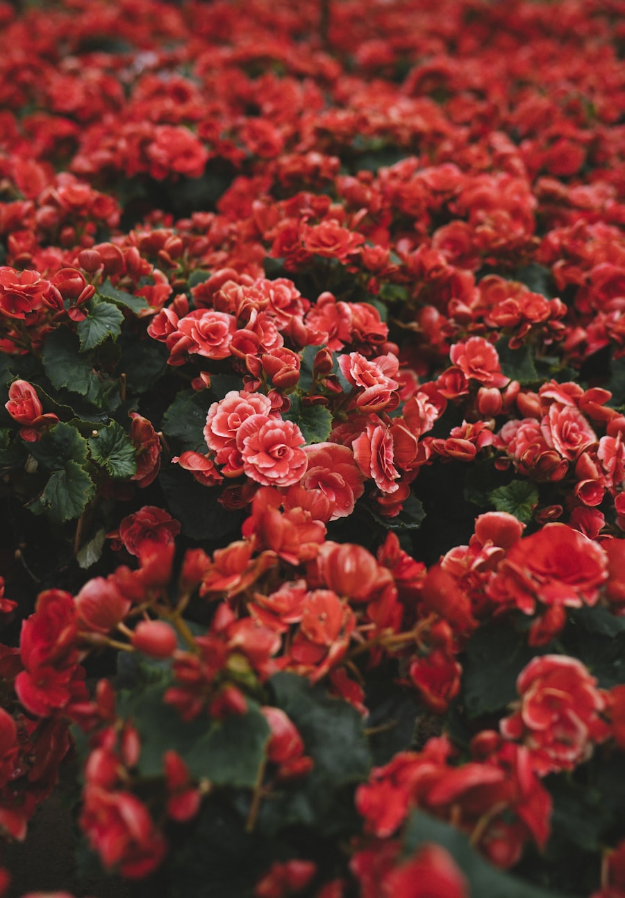 Florist website